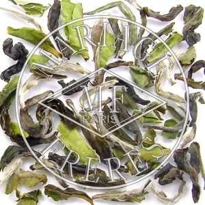 Outlet MARIAGE FRÈRES ALOOBARI