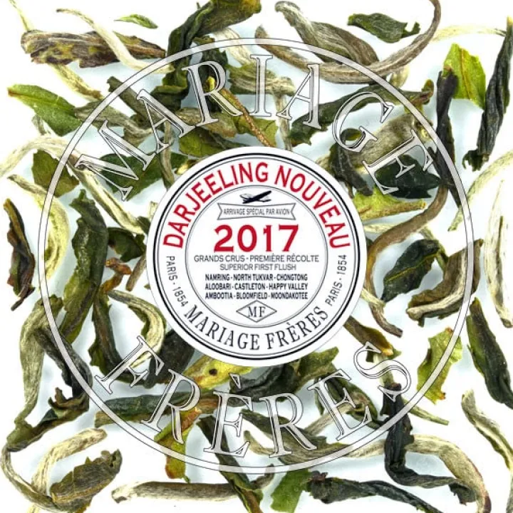 ambootia_1-2.webp Discount MARIAGE FRÈRES AMBOOTIA