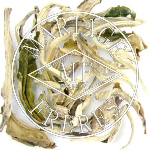 Outlet MARIAGE FRÈRES JASMIN