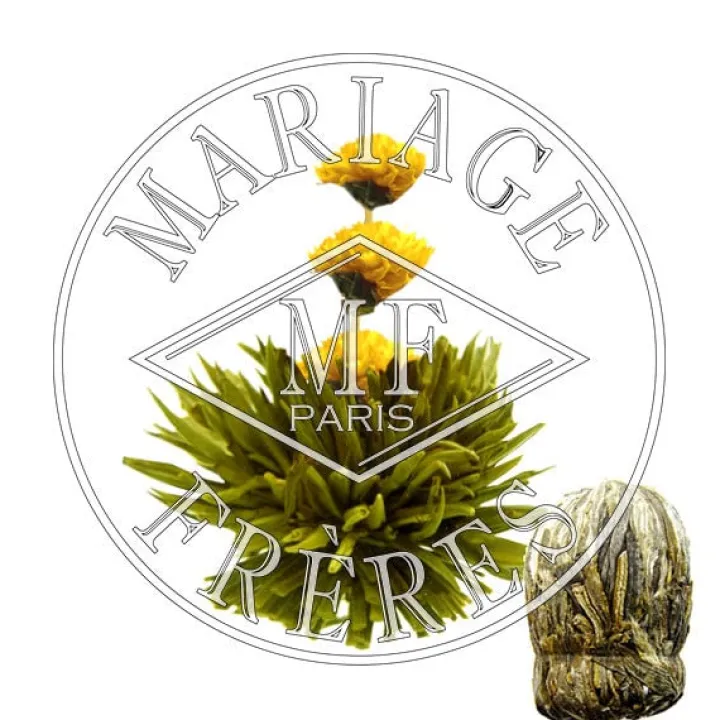 parisprovence_1.webp Cheap MARIAGE FRÈRES PARIS-PROVENCE