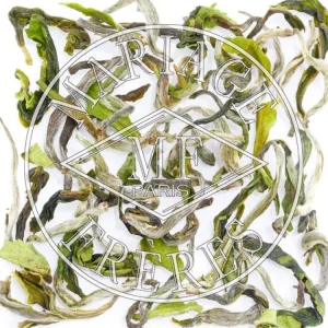 Store MARIAGE FRÈRES PUTTABONG QUEEN - Thé De Darjeeling,récolte De Printemps