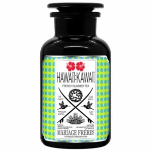 Store MARIAGE FRÈRES RIO SUMMER - Thé Vert Glacé à La Menthe,maté Et Açaí