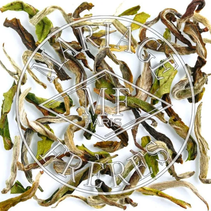 saphir_himalaya__th_bleu_du_npal_1.webp Shop MARIAGE FRÈRES SAPHIR HIMALAYA™ - Thé Bleu Du Népal