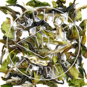 Outlet MARIAGE FRÈRES SFTGFOP1 DJ2/215