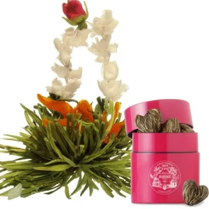 Online MARIAGE FRÈRES THÉ DES IMPRESSIONNISTES - Mousseline De Thé Vert à La Vanille Fleuri