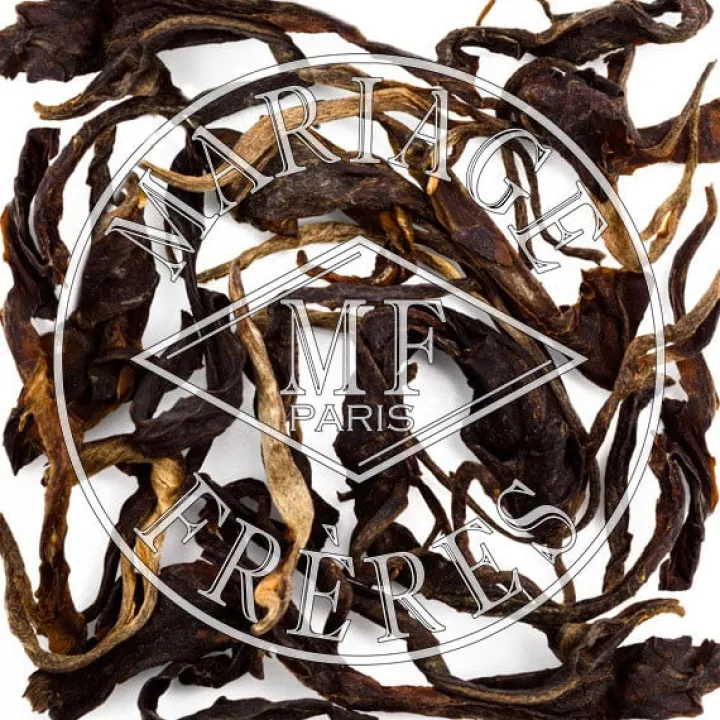 tha_orchide_1.webp Fashion MARIAGE FRÈRES THAÏ ORCHIDÉE