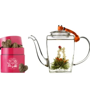 Shop MARIAGE FRÈRES Théière « KANBIN »