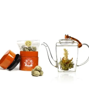 Outlet MARIAGE FRÈRES Théière « NATSUMI »